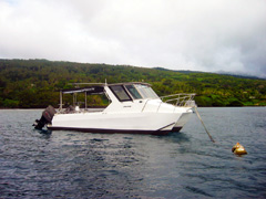 Tavenuni Ocean Sports' dive boat is fast, quiet and environmentally–friendly.