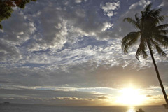 Taveuni Ocean Sports is located at Nakia Resort &apmp; Dive, the best dive resort in the South Pacific on Trip Advisor.
